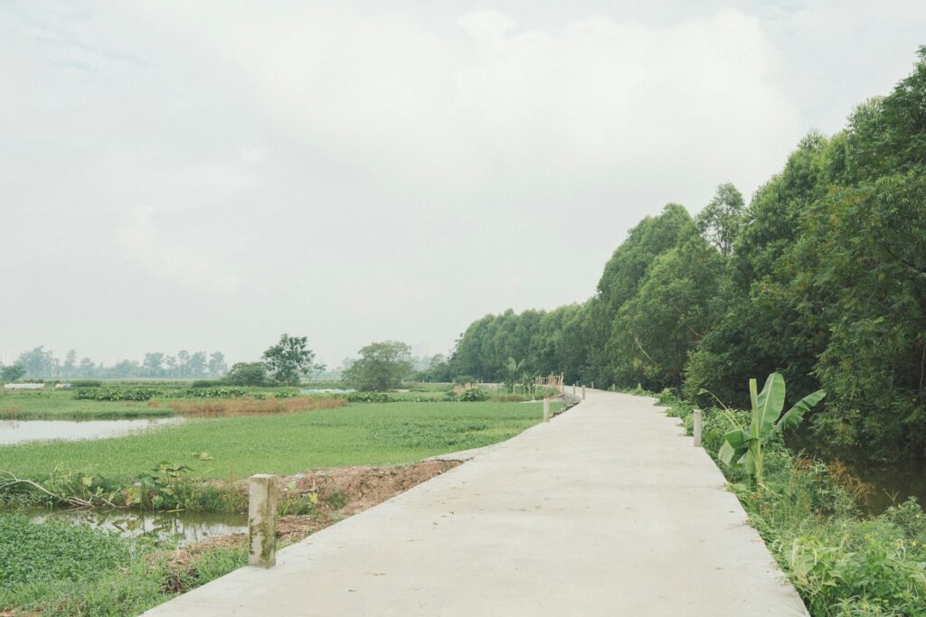 a paved path leading to a lush green field