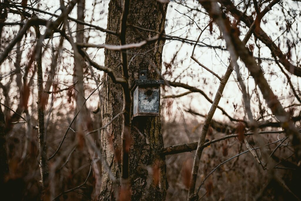 Gray electronic alarm on a tree trunk.