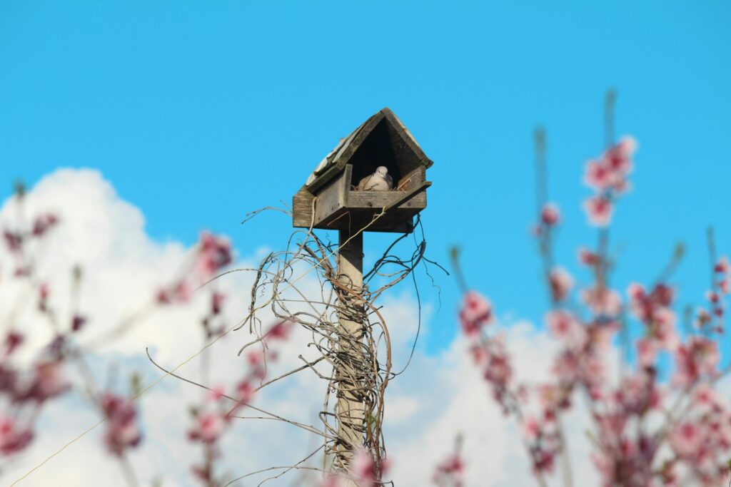 A bird house sitting on top of a tree.