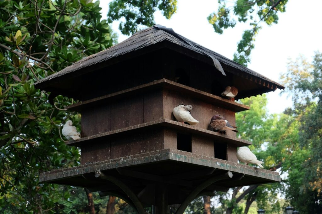 A bird house with a couple of birds on the roof.