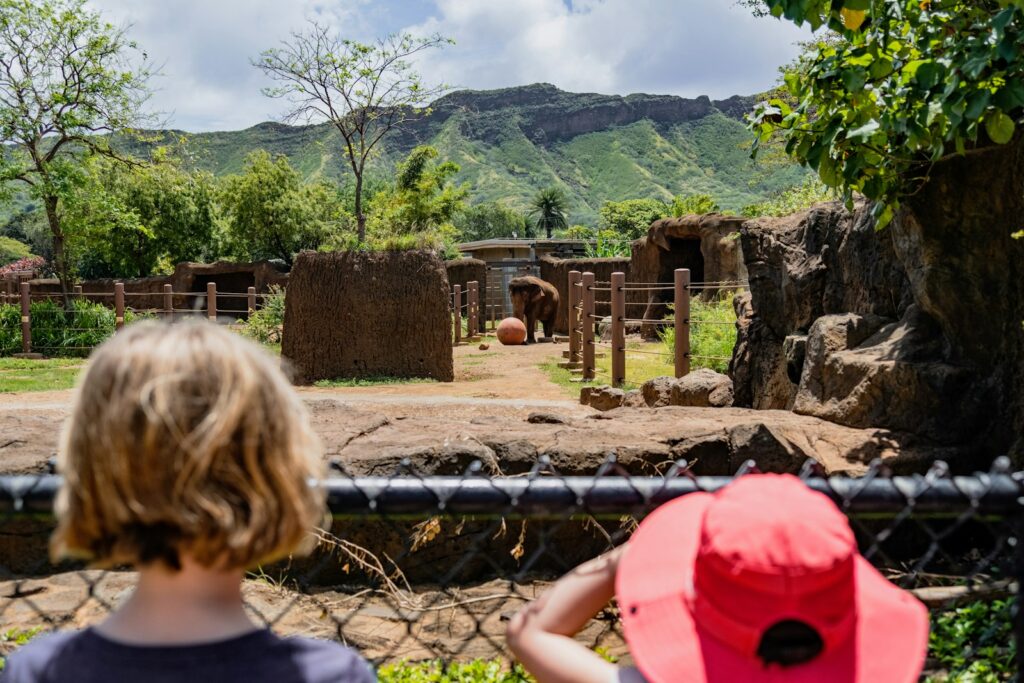 A little girl looking at an elephant.