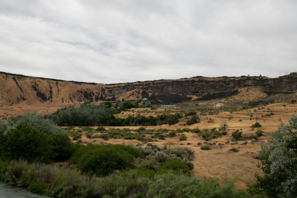 A river running through a lush green valley