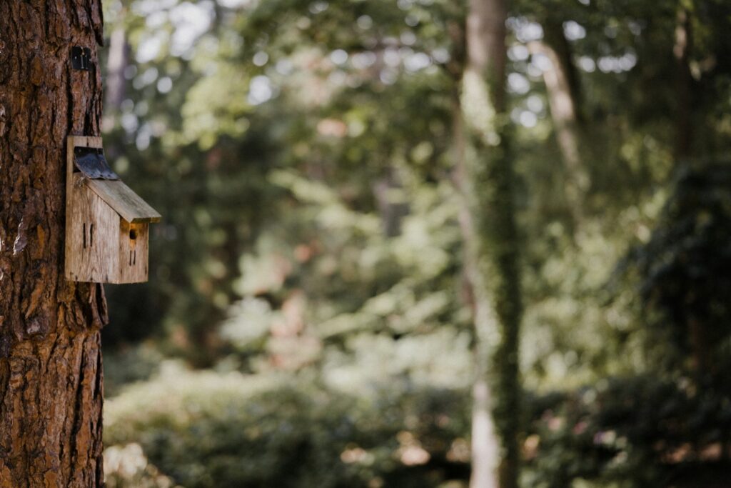 Brown wooden birdhouse on tree branch during daytime.
