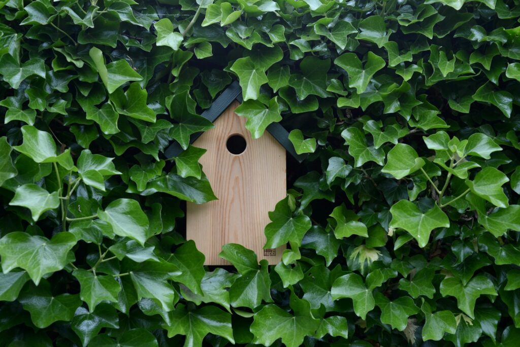 Brown wooden birdhouse on green leaves.