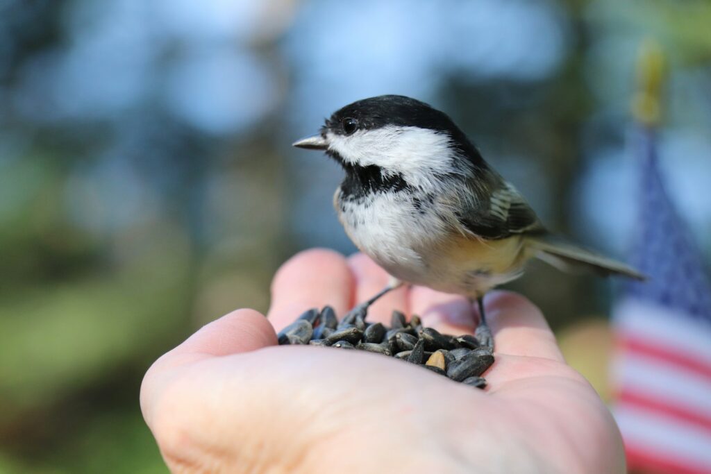 A small bird perched on top of a person's hand