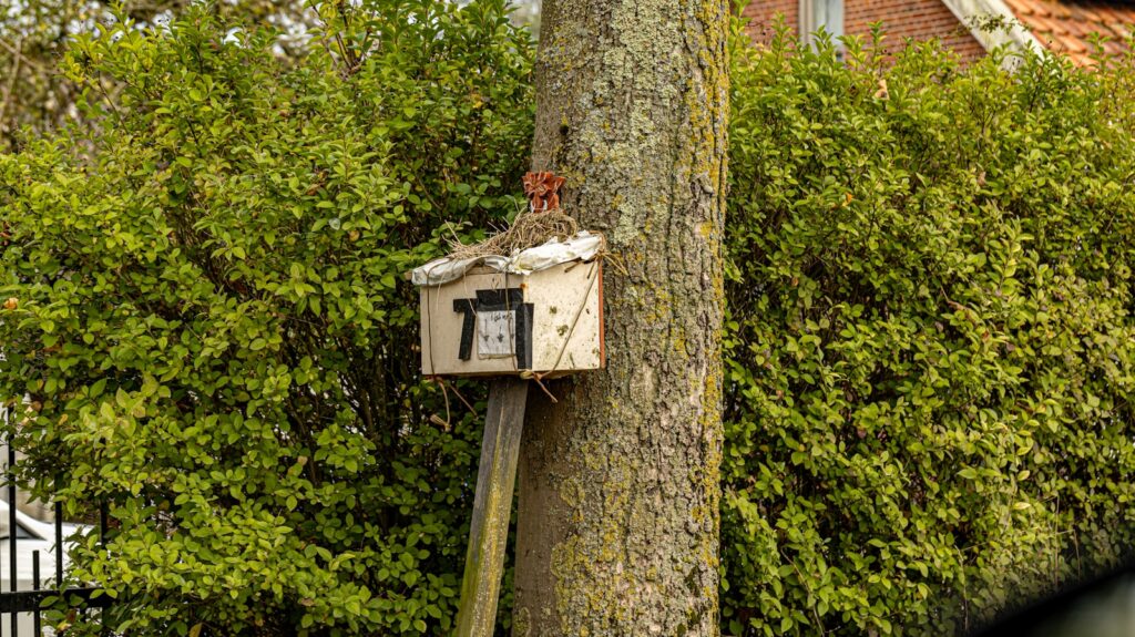 A tree with an alarm attached to it.