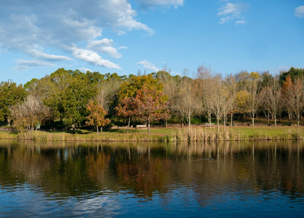 a body of water surrounded by trees and grass