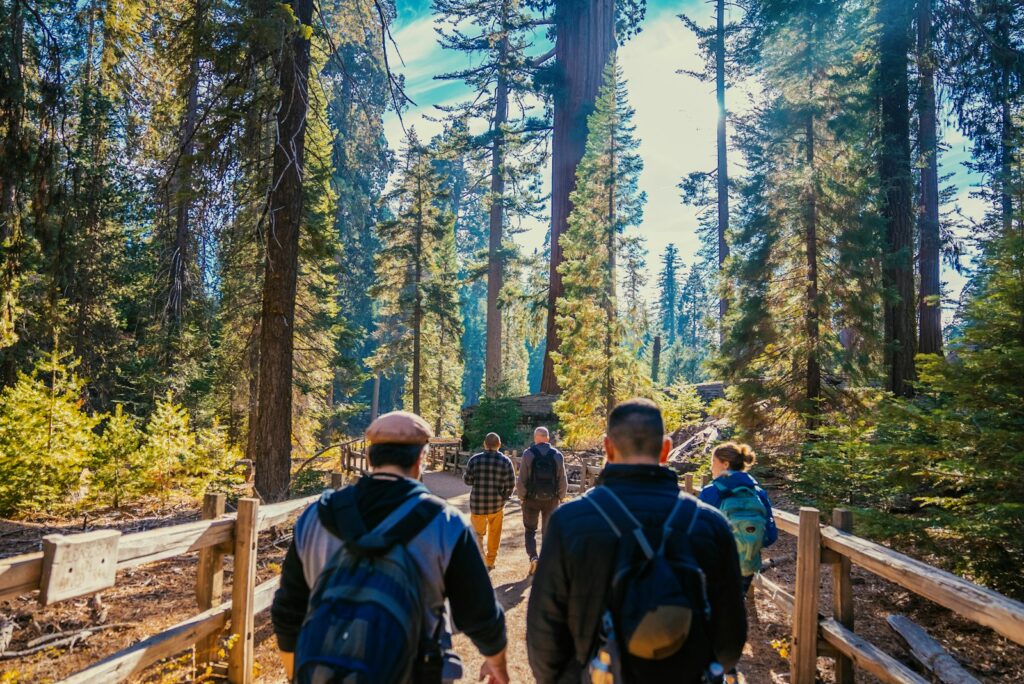 a group of people walking across a bridge in the woods