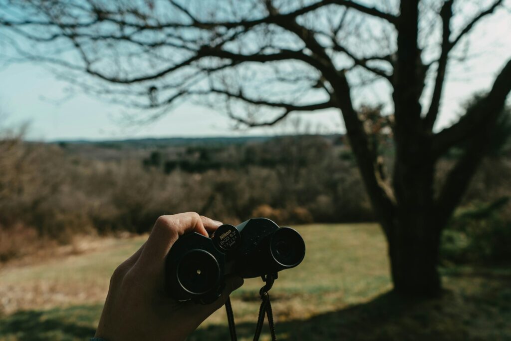 person holding black binoculars near brown bare tree during daytime
