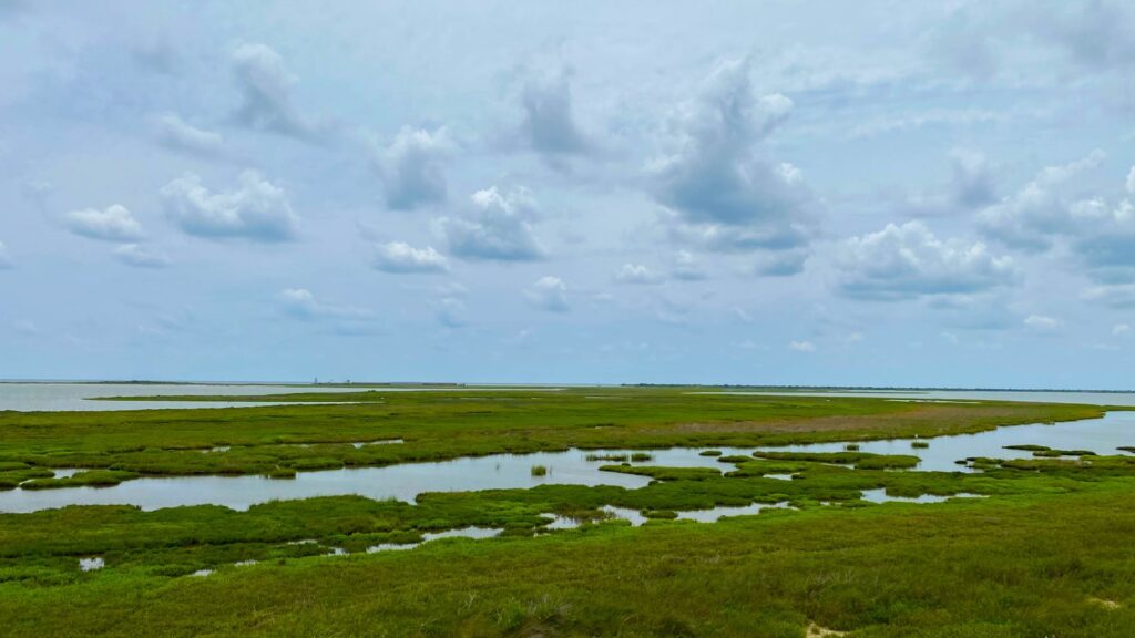 a large body of water surrounded by lush green grass