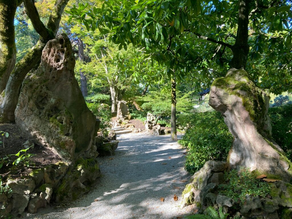 A path through a lush green forest filled with trees.