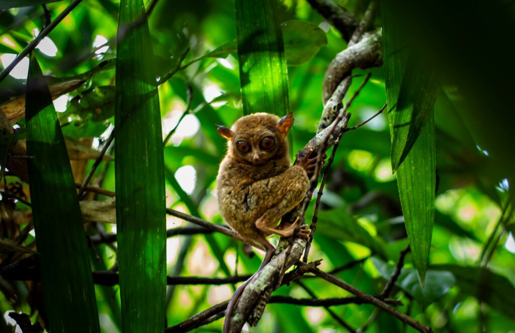 A small bird perched on a tree branch