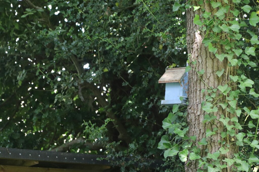 A birdhouse with alarm sits in a lush, green tree.