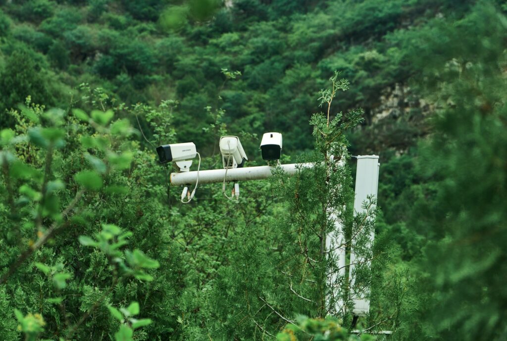 White and black wooden cross on green plants during daytime.