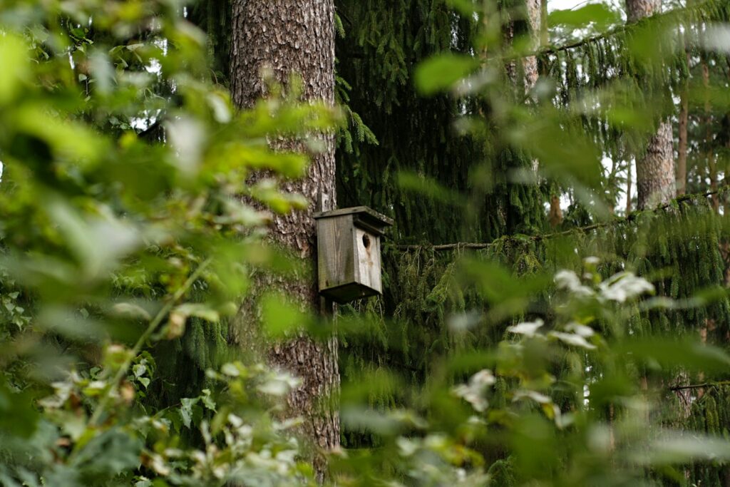 Brown wooden birdhouse on tree.