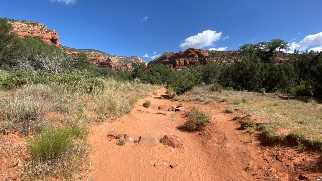 brown sand and green grass during daytime