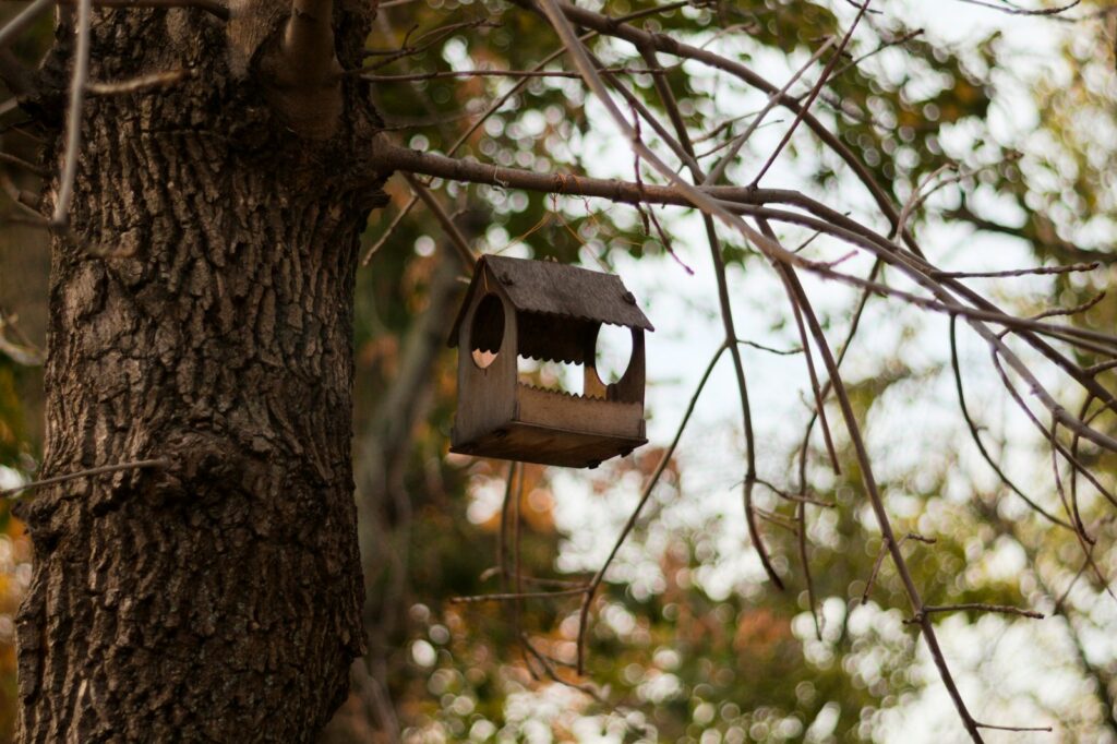 Brown alarm hanging on the tree.