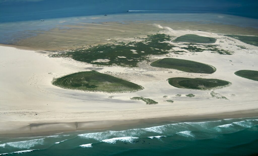 a beach with green sand