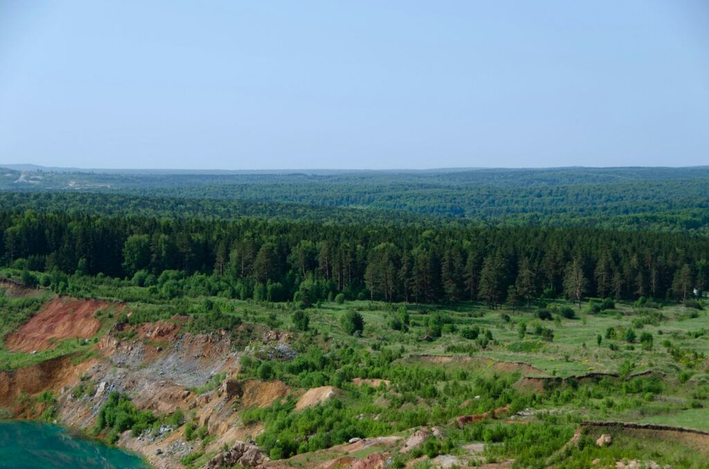 a scenic view of a forest and a lake
