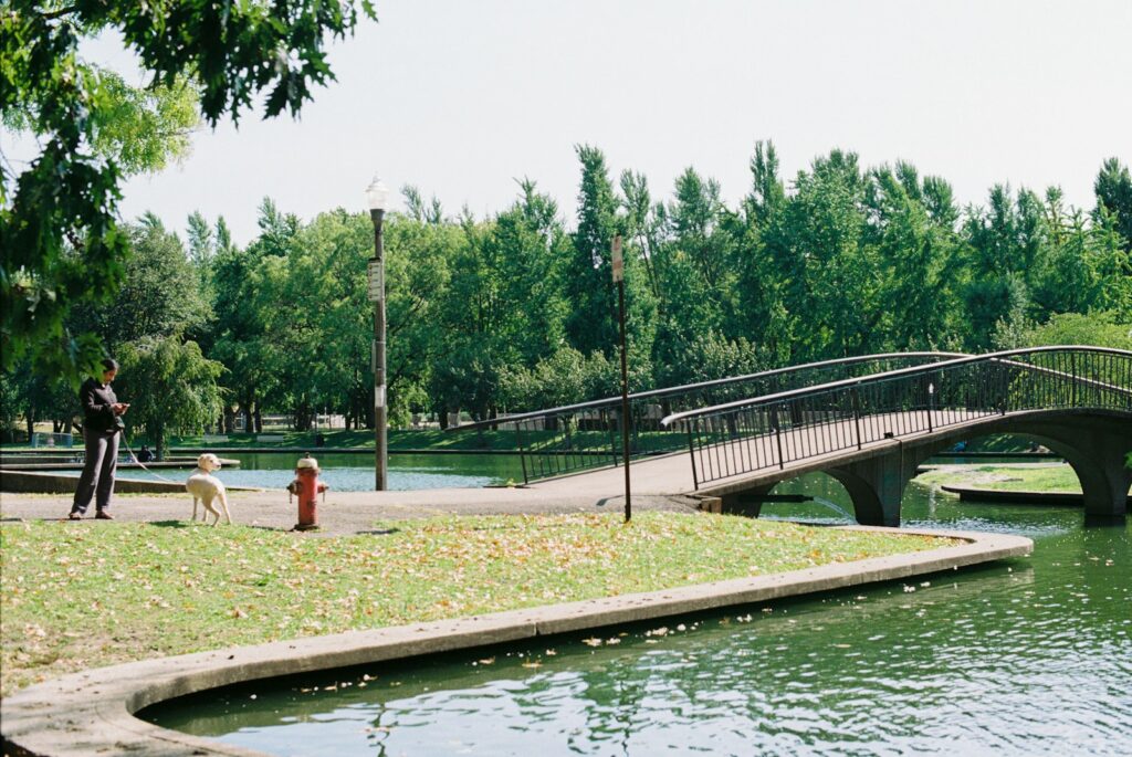 A bridge over a body of water next to a park.