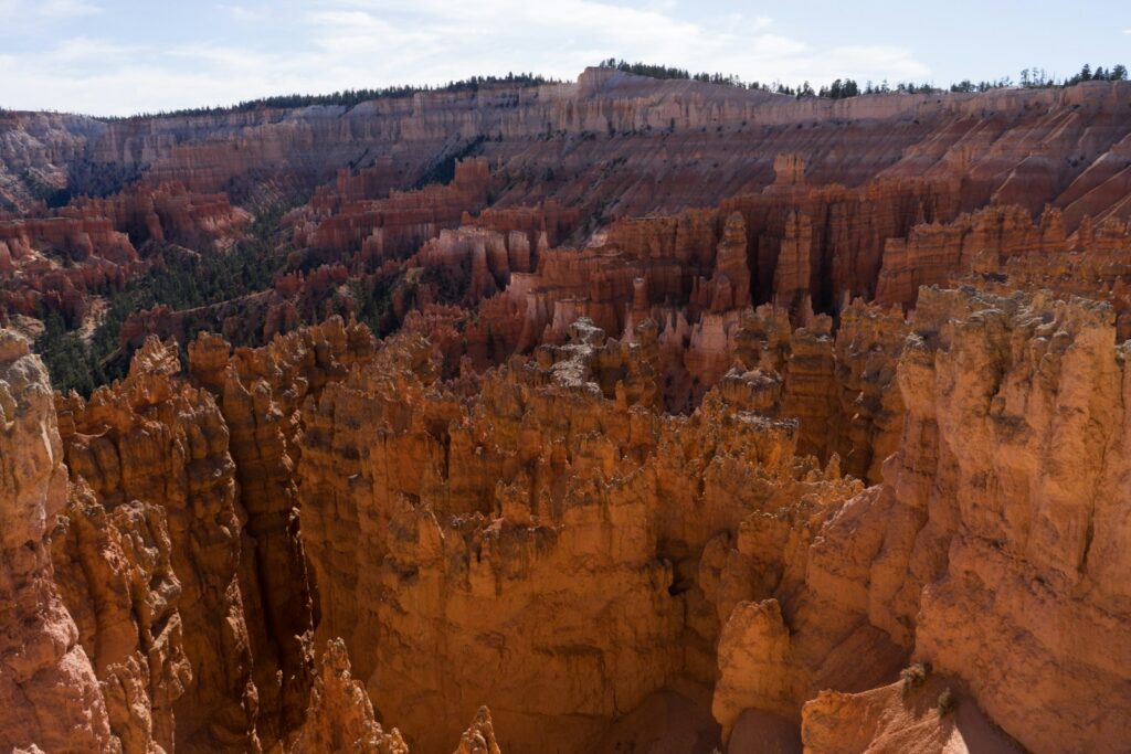 A panoramic view of a canyon in the desert
