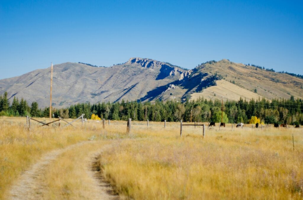 green grass field near mountain under blue sky during daytime