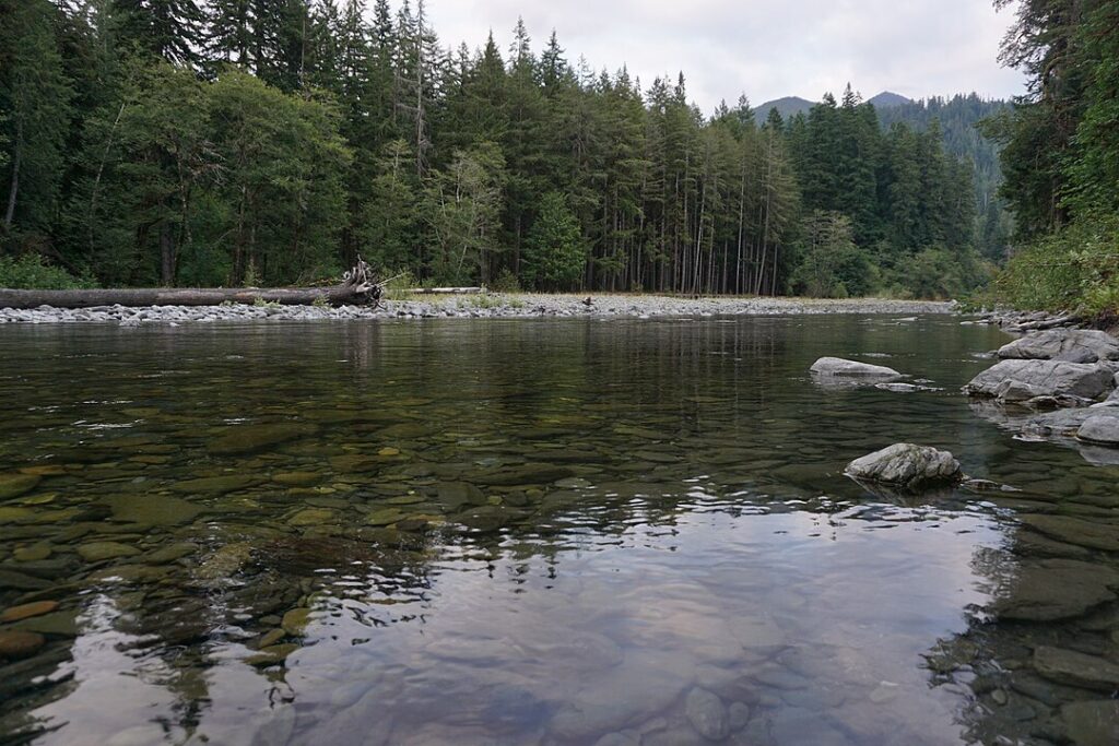 The river at Graves Creek Campground showcases smooth rocks and vibrant trees, enhancing the picturesque landscape.