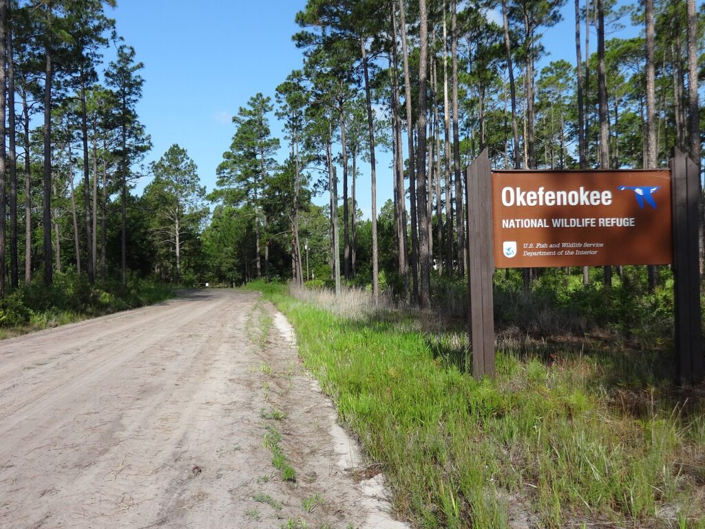 A rustic sign for Oldenmores State Park, framed by the natural beauty of Okefenokee National Wildlife Refuge.