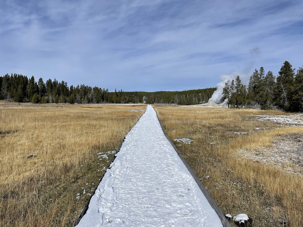 Snow-covered path leading to a geyser, showcasing the winter beauty of Yellowstone National Park's geothermal features.
