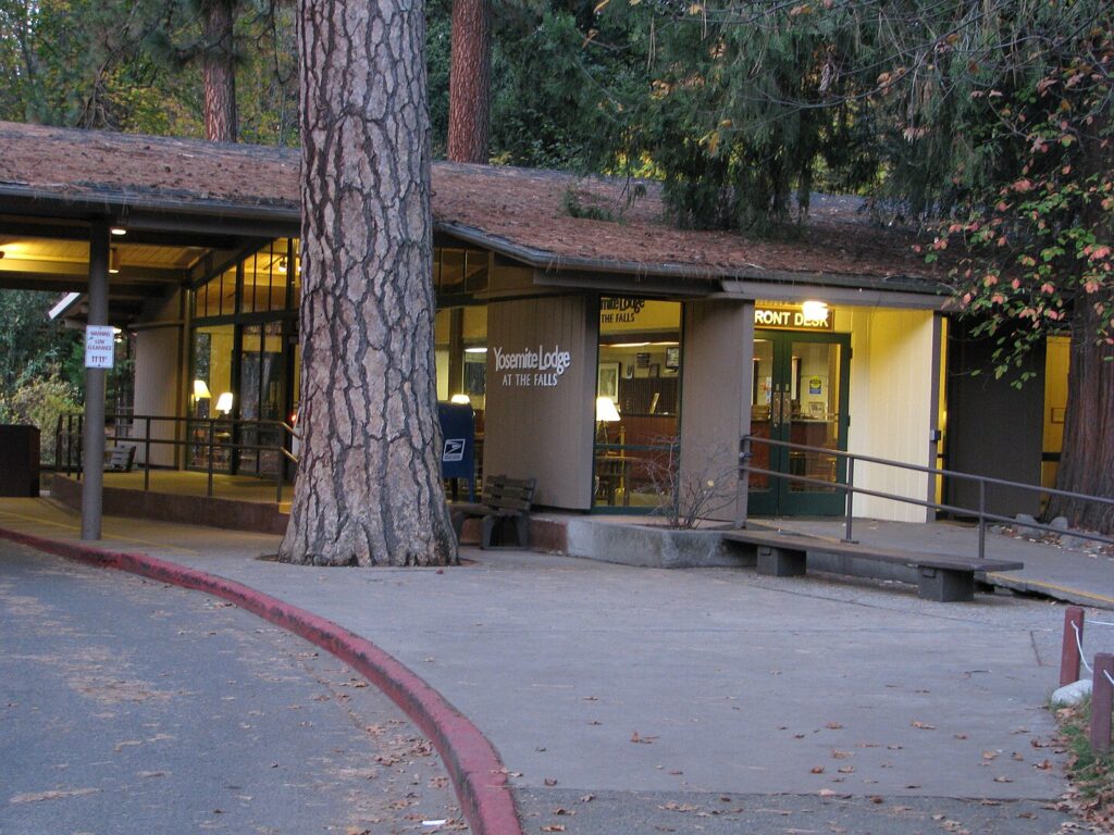 A tall, leafy tree stands prominently in the background, adding a natural element to the serene landscape.