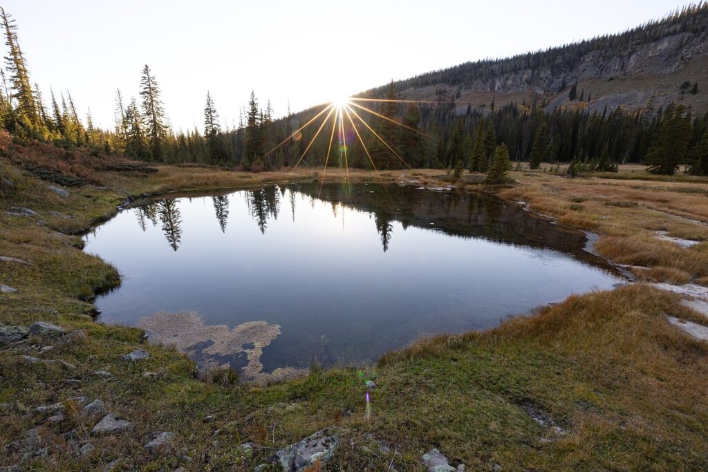 Bechler River Trail, Yellowstone National Park