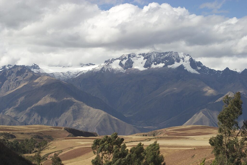 Majestic Andes Mountains featuring a few trees and sheep dotting the landscape against a stunning backdrop.