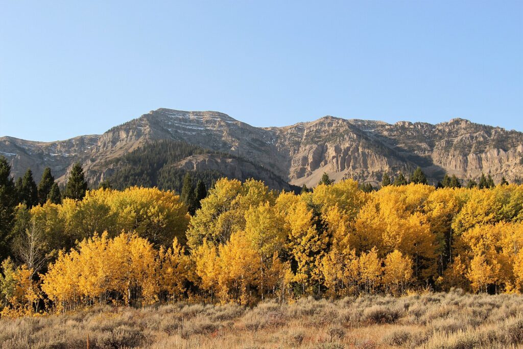 Majestic mountain range under a clear blue sky at Red Rock Lakes National Wildlife Refuge, Montana, showcasing natural beauty.