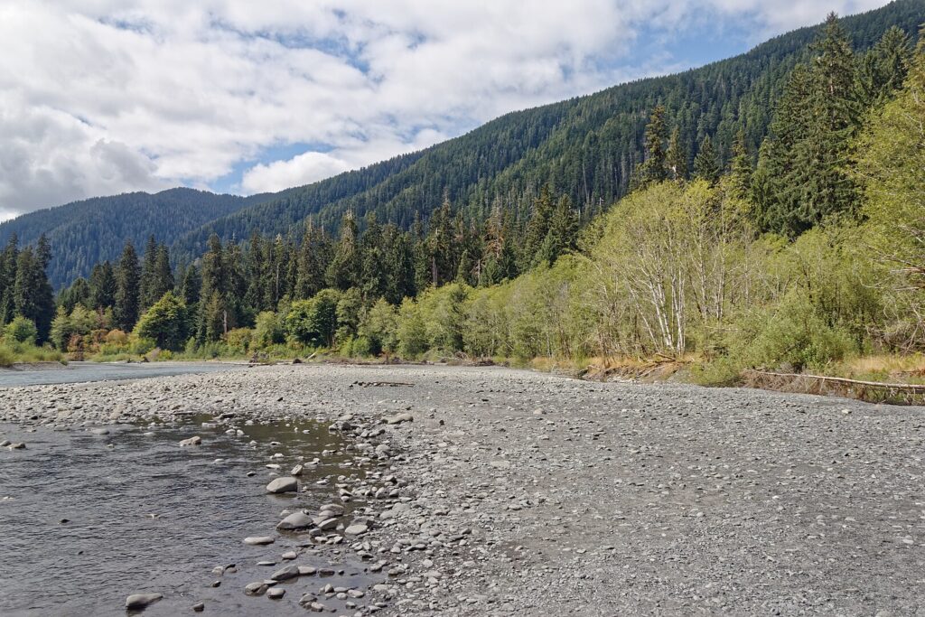 Hoh River Trail, Hoh river.