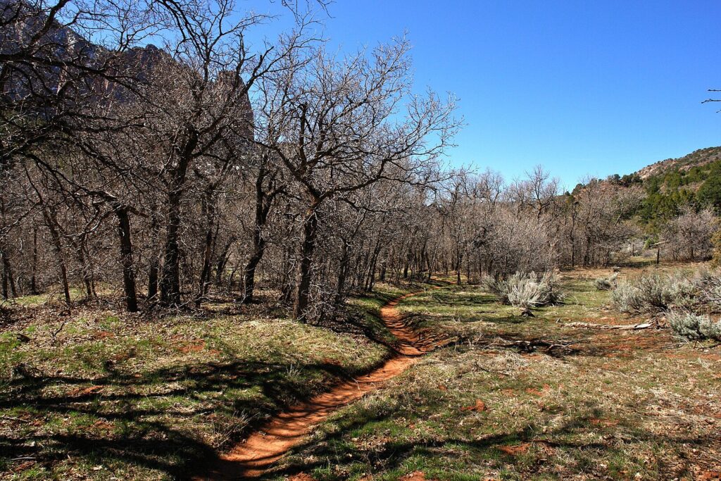The 13 mile return trail, Kolob Canyons, Walk to the Kolob Arch (Zion National Park).
