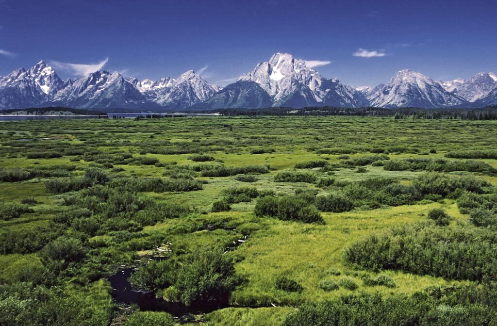 Majestic peaks of Grand Teton National Park rise against a clear blue sky, showcasing Wyoming's stunning natural beauty.