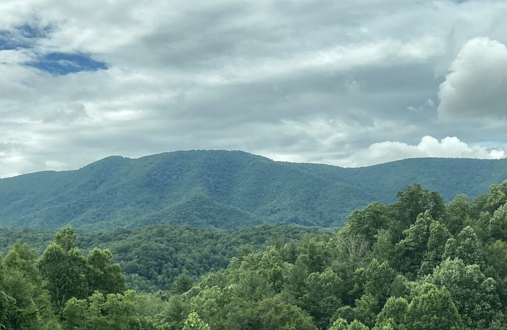 Scenic view of the Appalachian Mountains rising above a lush, green forest, showcasing nature's beauty and tranquility.