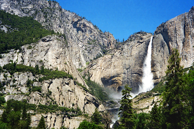 A majestic waterfall cascades through a lush forest in Yosemite National Park, surrounded by towering trees and vibrant greenery.