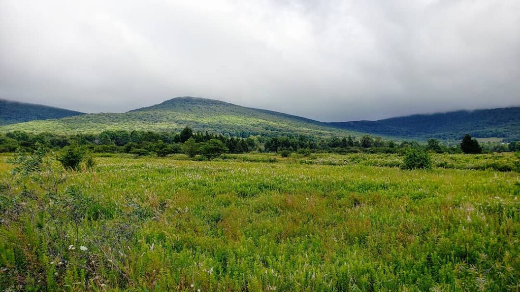 Scenic view of a vibrant field bordered by trees, with majestic mountains rising in the background at Canaan Valley Wildlife Refuge.