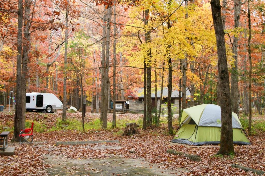 A tent and camper nestled among trees at Cades Cove Campground, showcasing a serene outdoor getaway in nature.