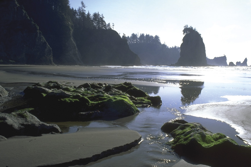 Beach rocks adorned with vibrant moss, set against a steep cliff, capturing the essence of Olympic National Park's coastal scenery.