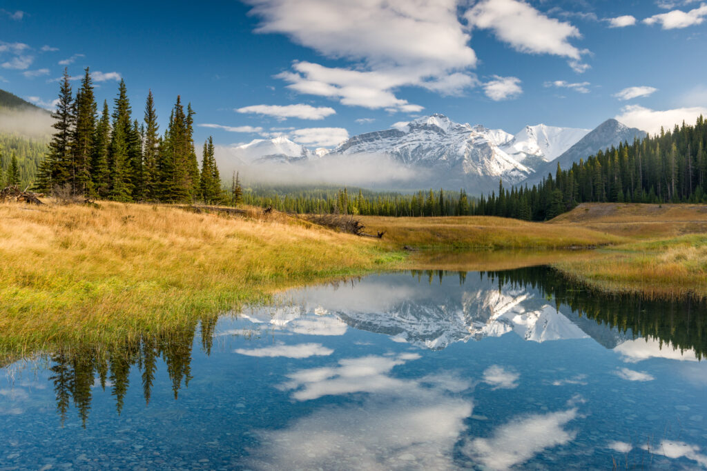 Canadian Rockies in the morning in Banff National Park.