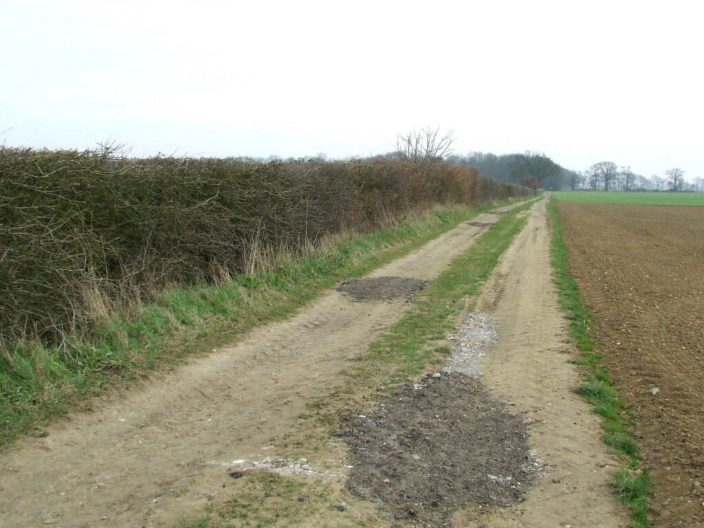 Bull of the Woods Trail in Rocky Mountain National Park.