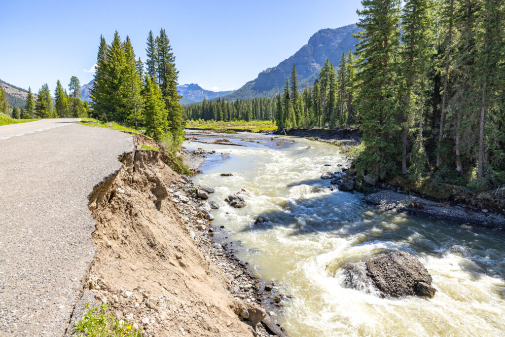 Trout Lake TRailhead at Yellowstone National Park.